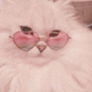 Meet your Posher, Peyton